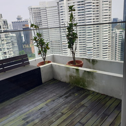 The Peak @ Cairnhill II (D9), Apartment #453132211